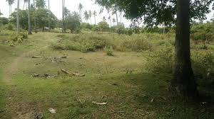 Teks Negosiasi Negosiasi Jual Tanah - Sabitah Vania Azahra