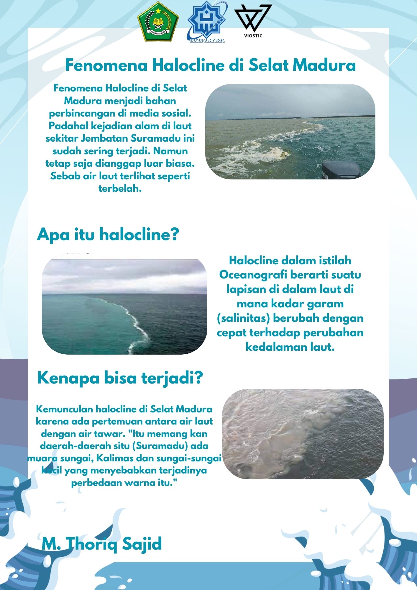 Infografis Halocline di Selat Madura – Muhammad Thoriq Sajid