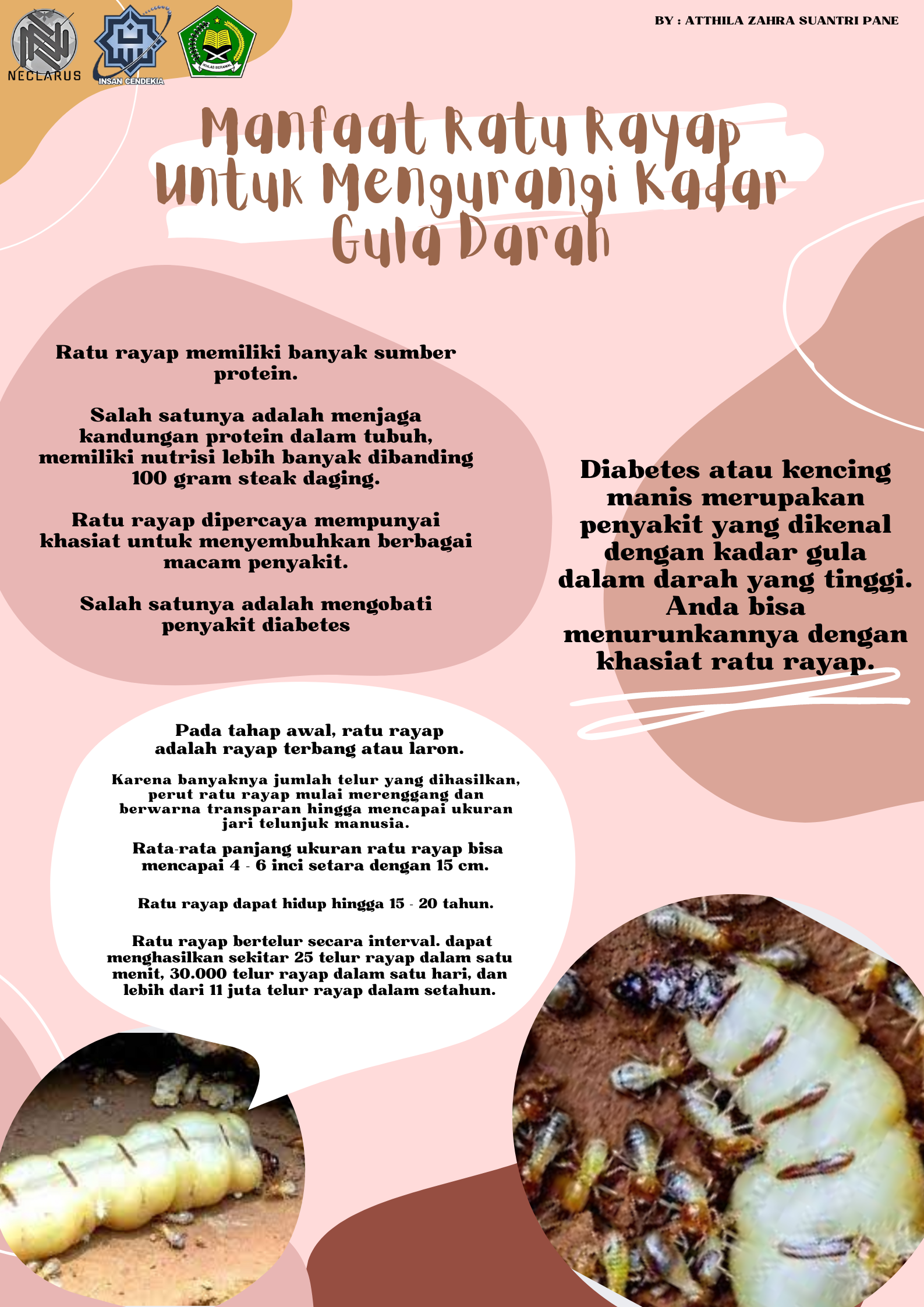 Poster Teks Eksposisi- Atthila zahra - X IPA 1