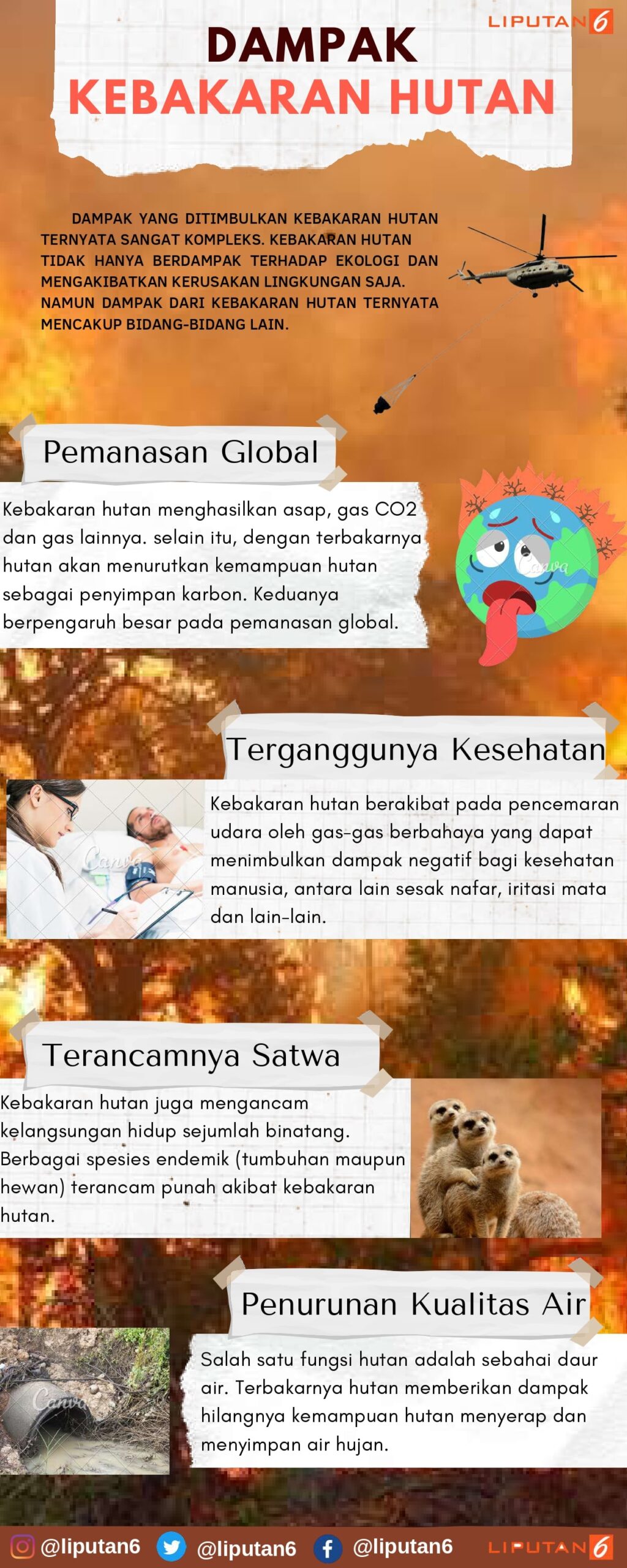 Infografis Teks Eksplanasi Dampak Kebakaran Hutan - Raihan Aditya Virmi
